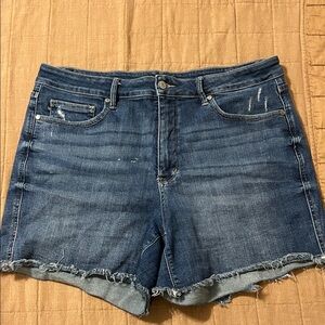 Judy Blue Denim stretchy shorts